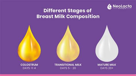 ‘A Few Drops of Milk Will Do’: Breast Milk as Medicine